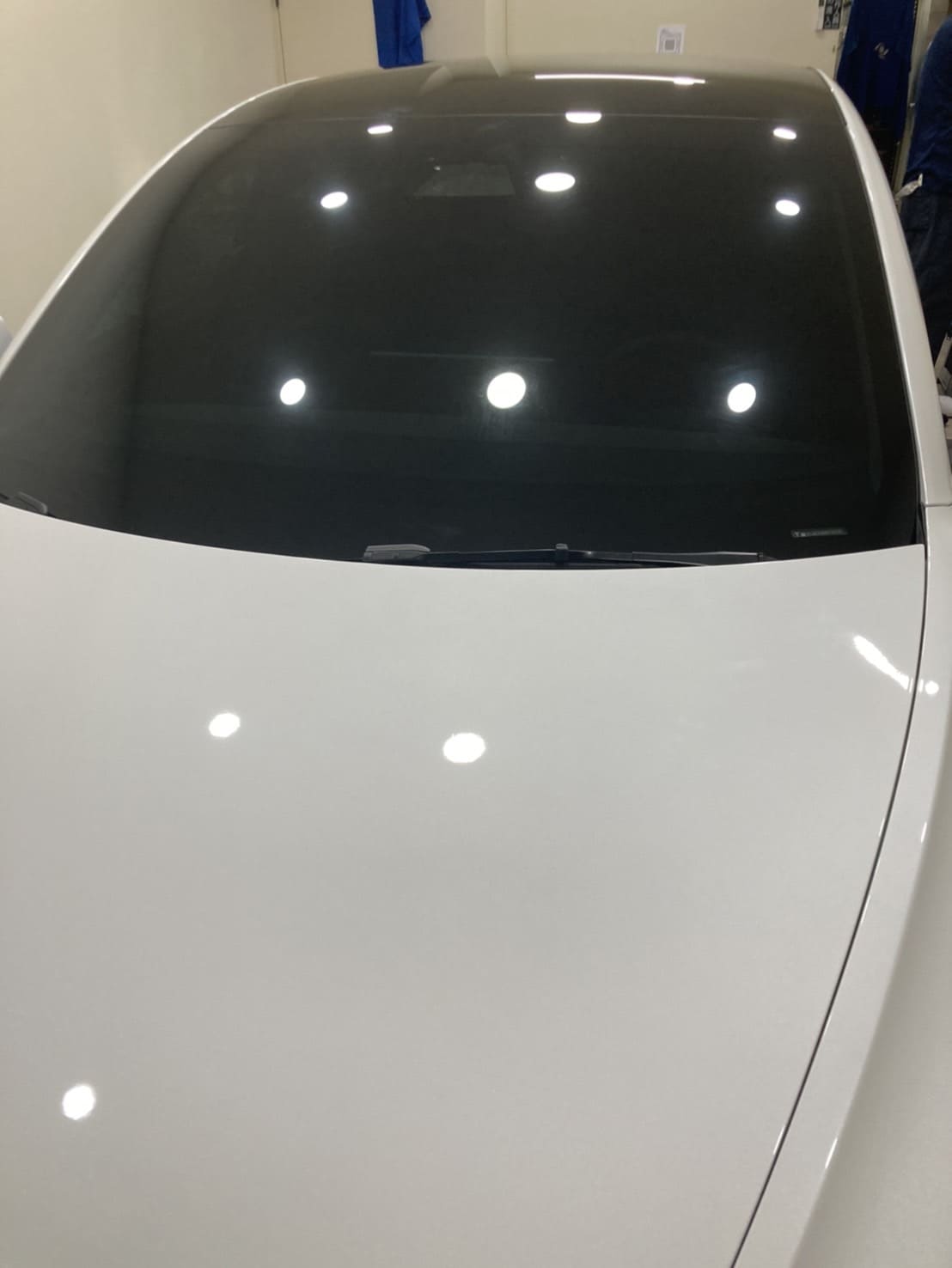 Tesla model3貼膜